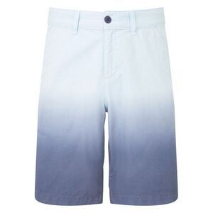Wombat Mens Dip Dye Shorts / Blue